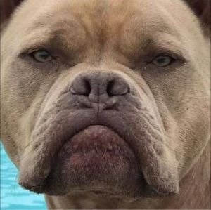 Meet your Posher, Debbie